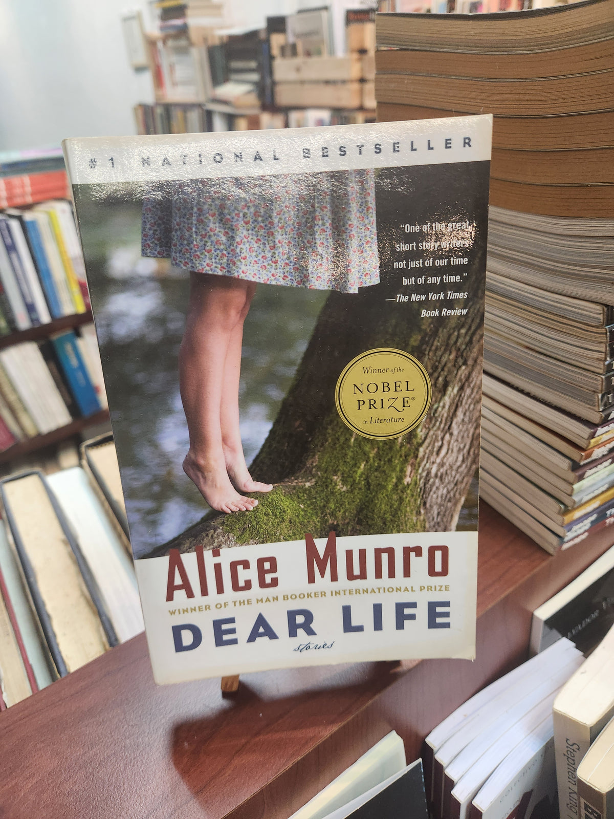 Dear Life: Stories - Alice Munro