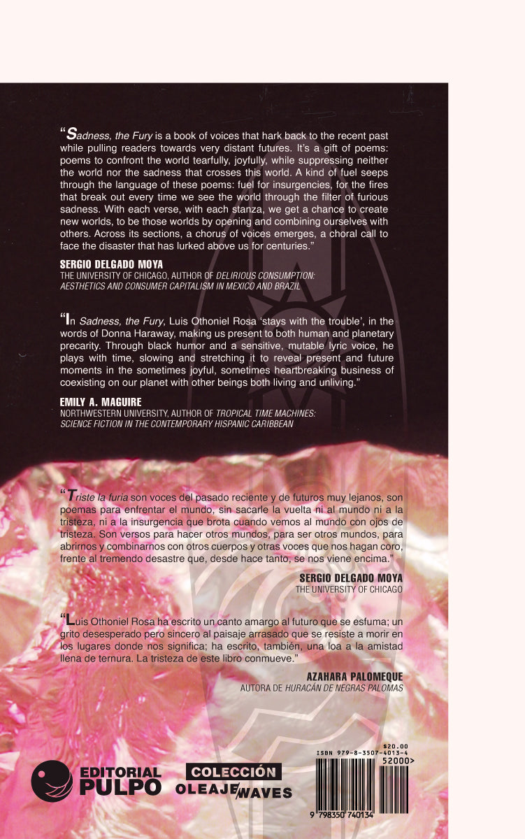 Triste la furia / Sadness, the Fury - Luis Othoniel Rosa