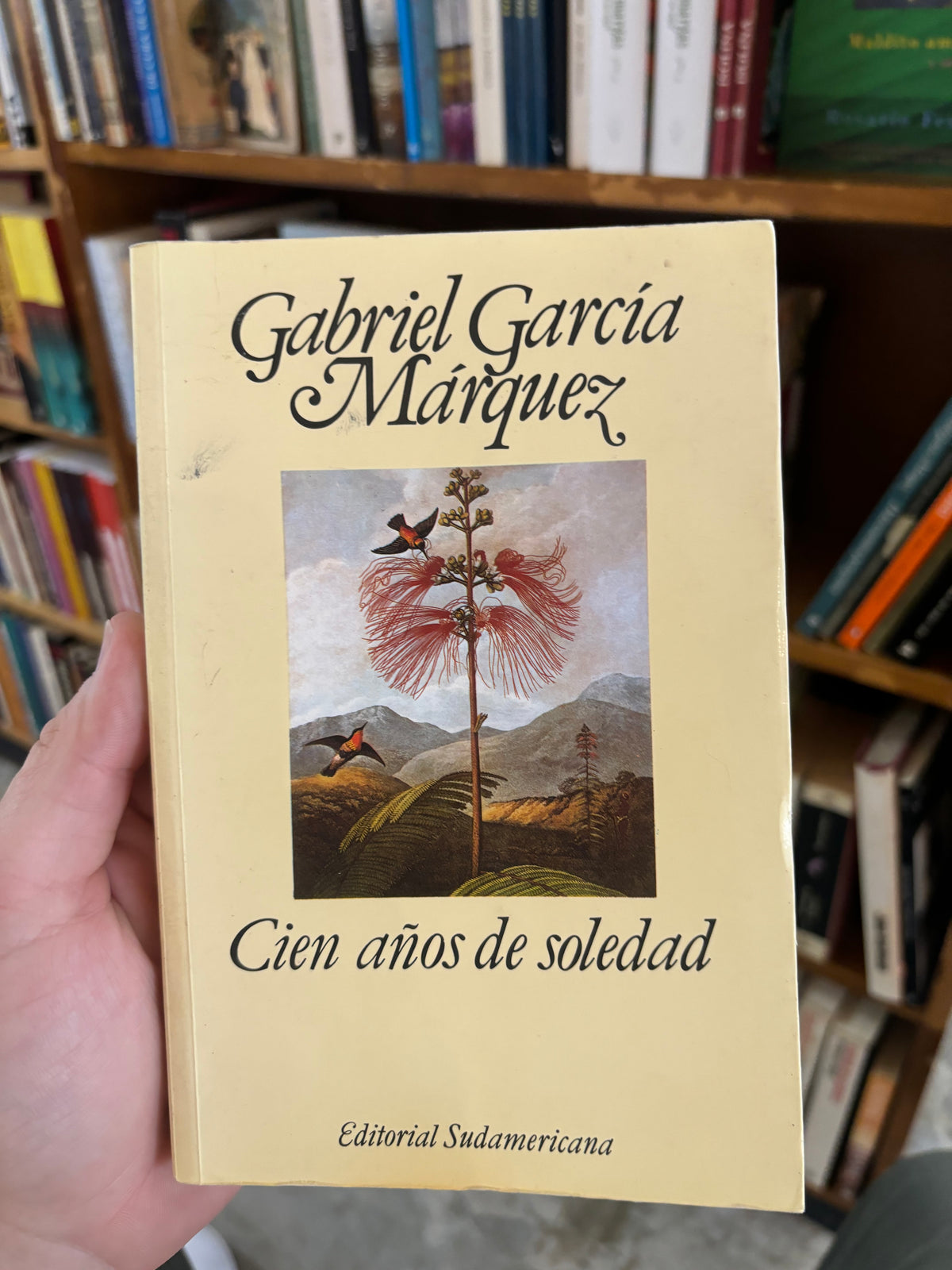 Cien años de soledad - Gabriel García Márquez