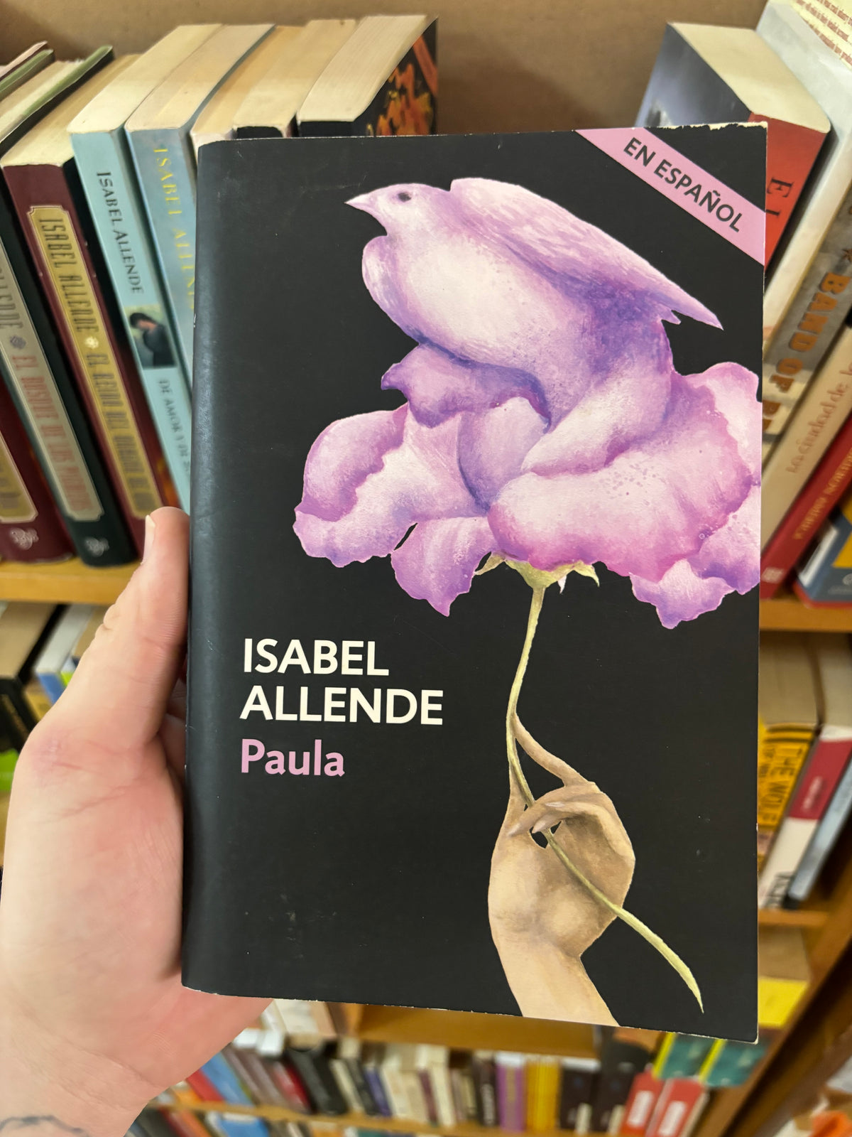 Paula - Isabel Allende