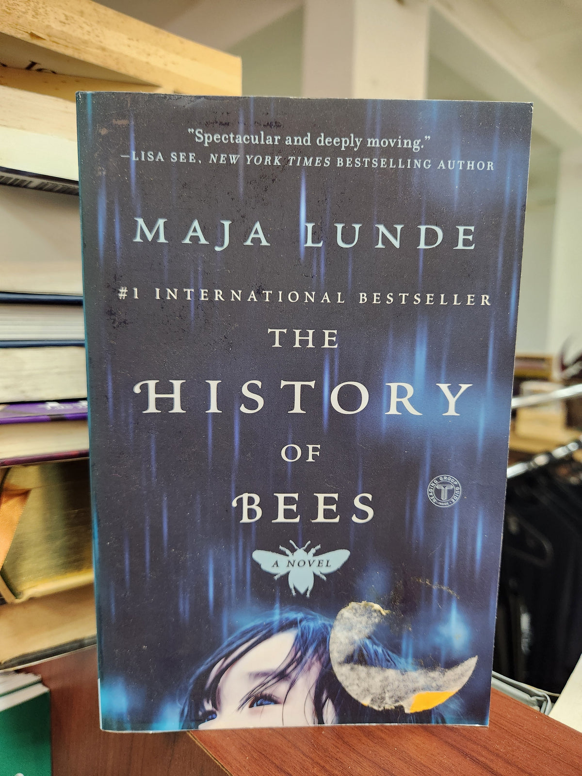 The History of Bees - Maja Lunde