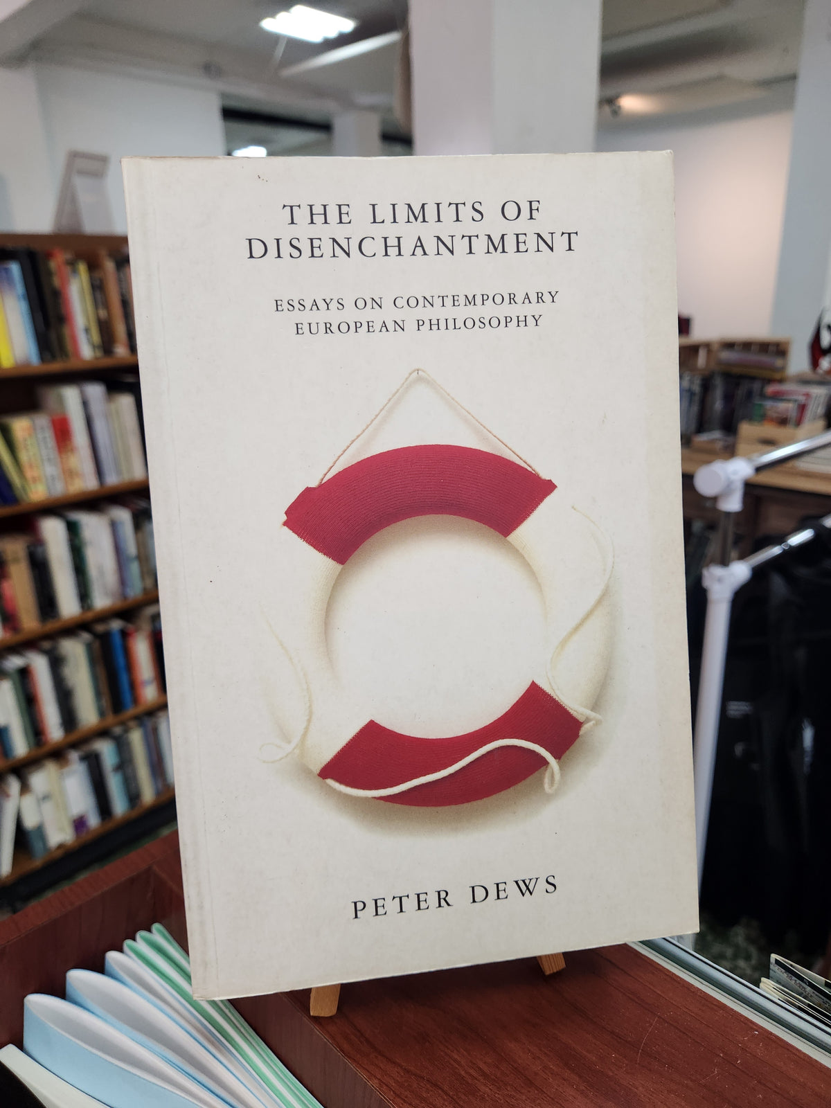 The Limits of Disenchantment: Essays on Contemporary European Philosophy - Peter Dews