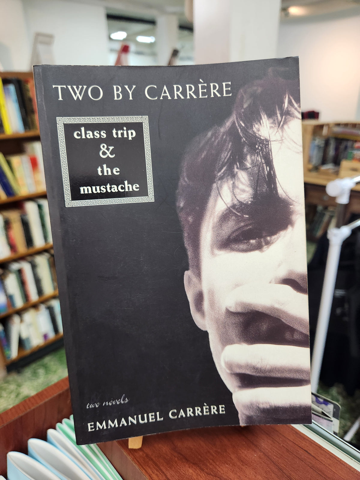 Class Trip & The Mustache (Two by Carrère) - Emmanuel Carrère