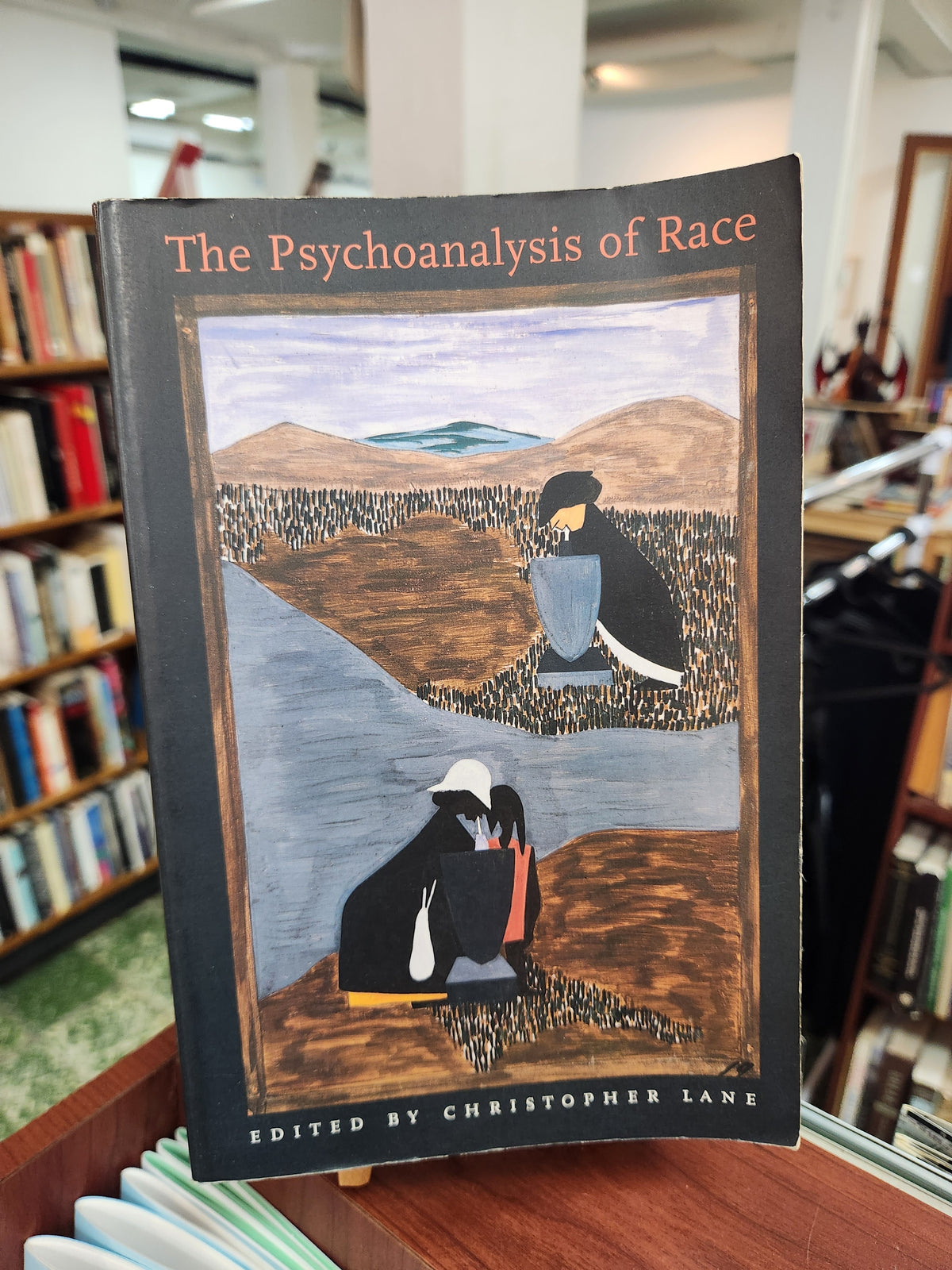 The Psychoanalysis of Race - edited by Christopher Lane