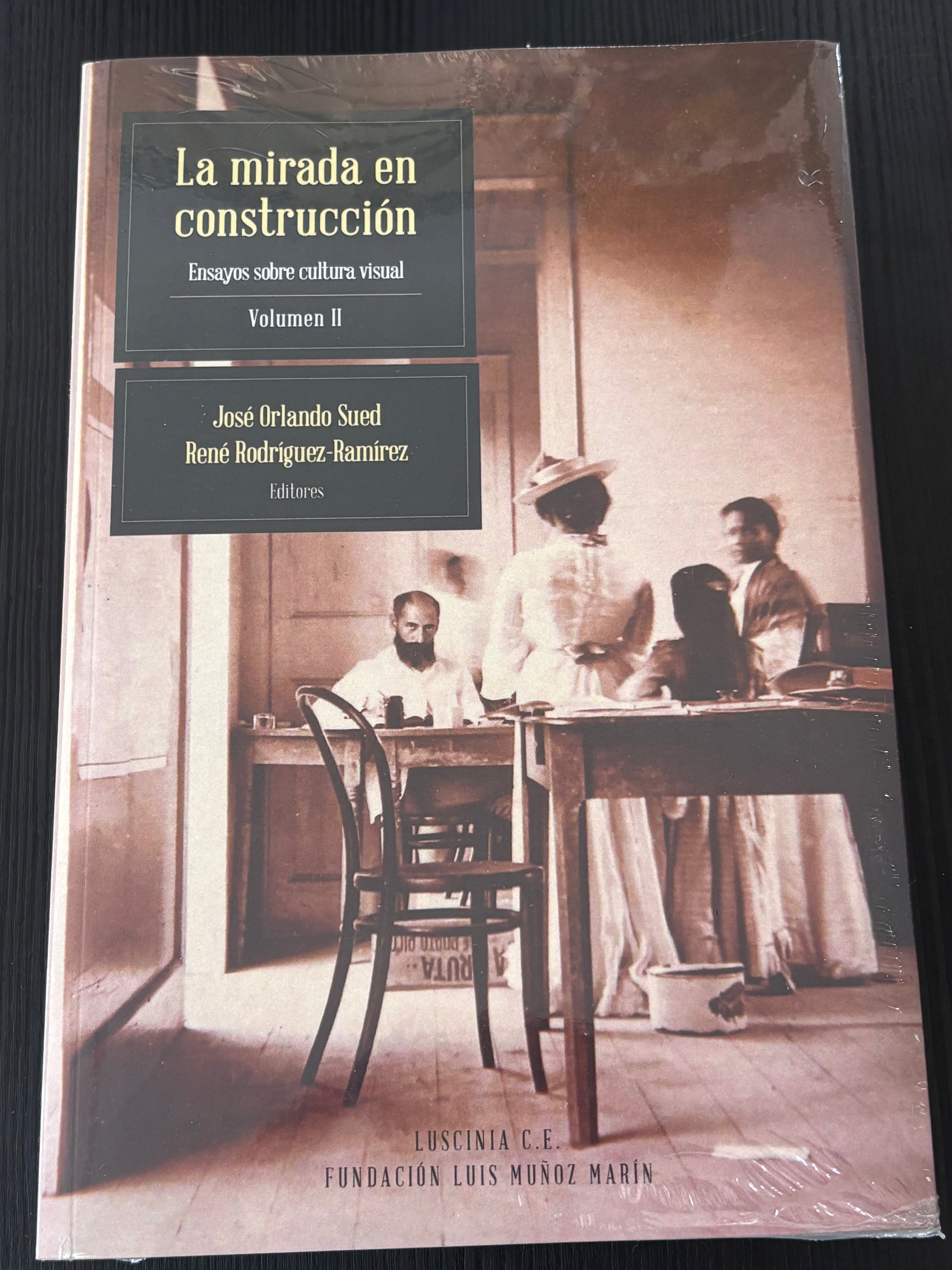 La mirada en construcción: Ensayos sobre cultura visual Vol. II