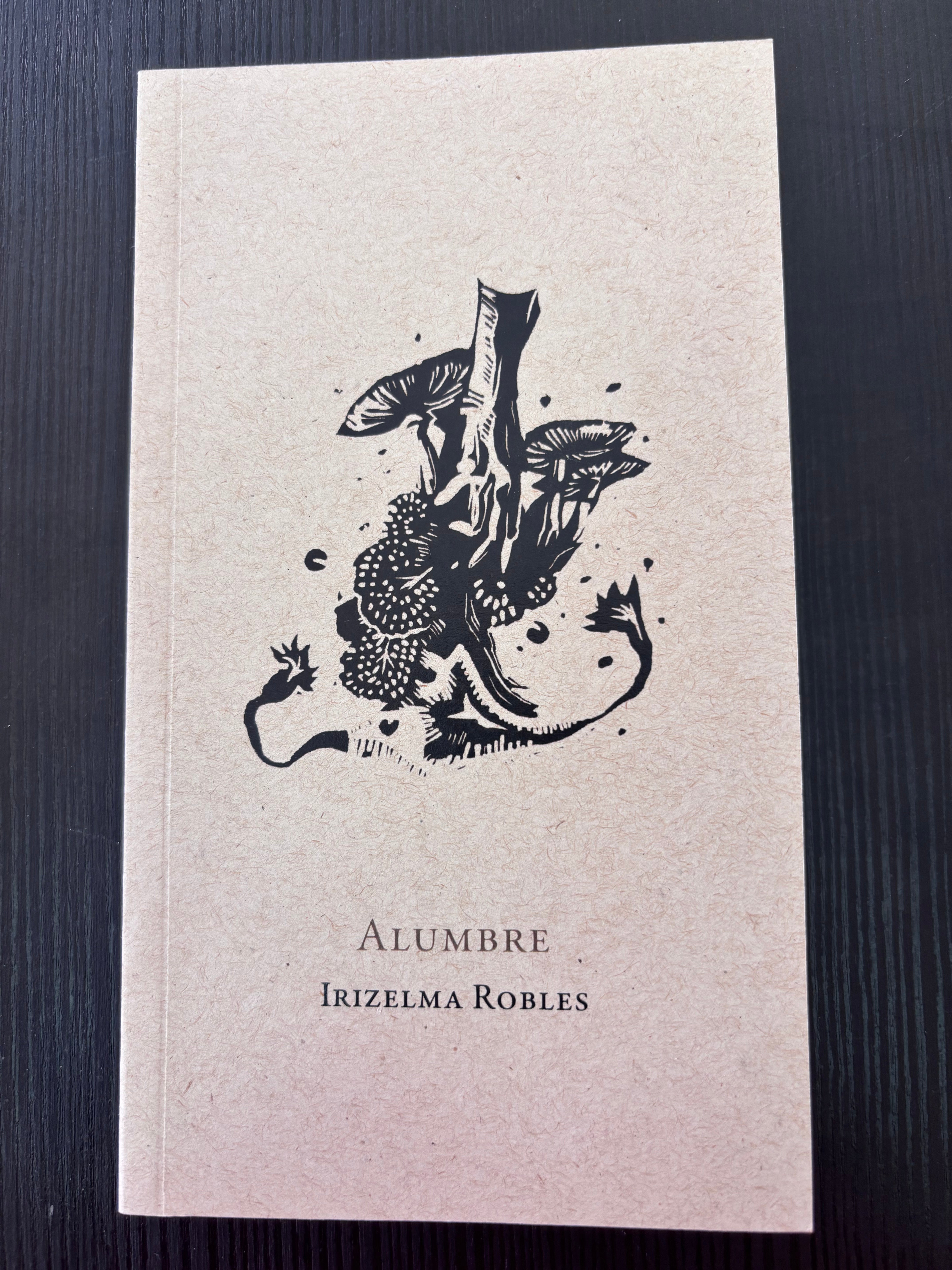 Alumbre - Irizelma Robles