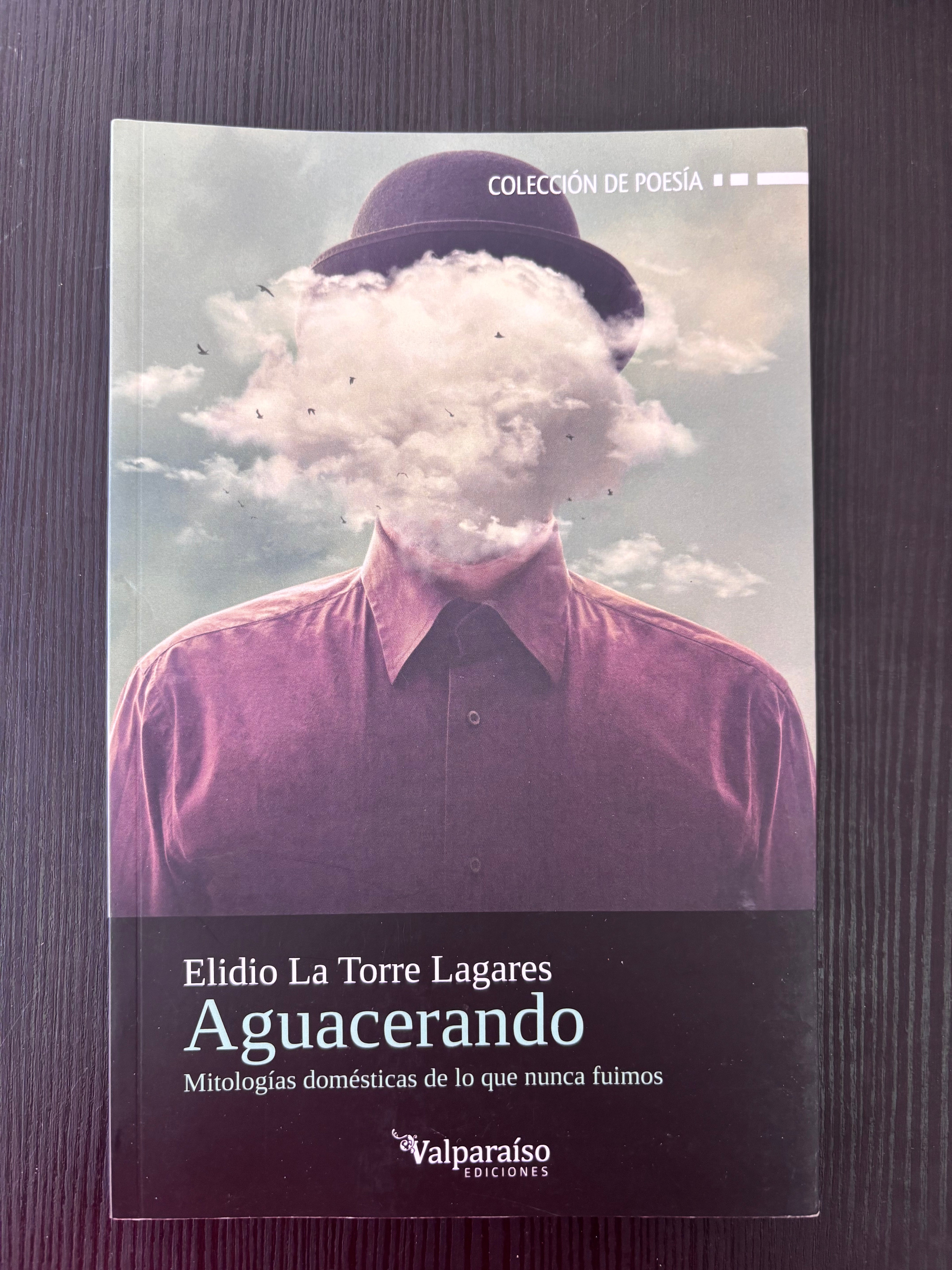 Aguacerando - Elidio La Torre Lagares