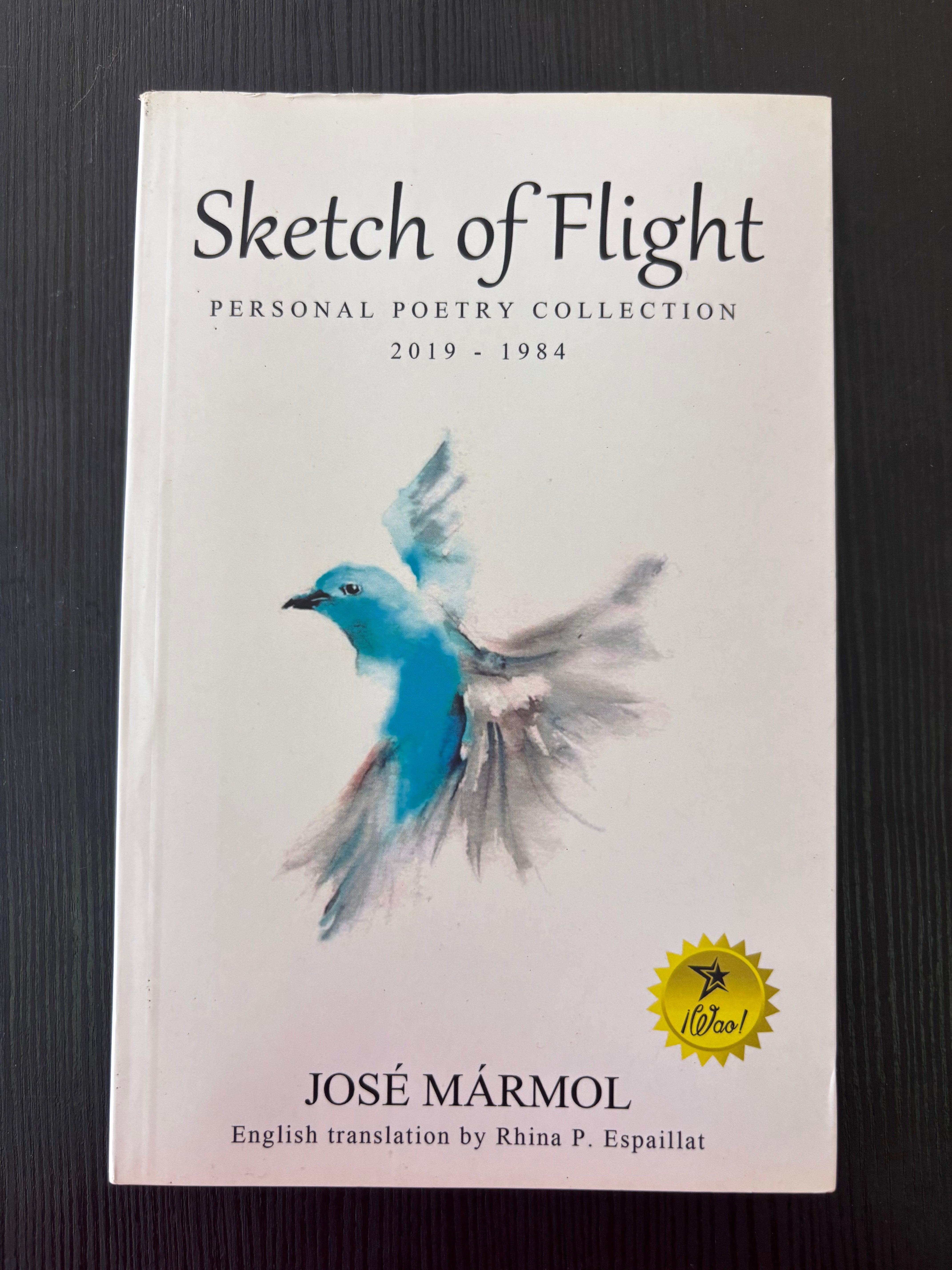 Sketch of Flight - Joşé Marmol