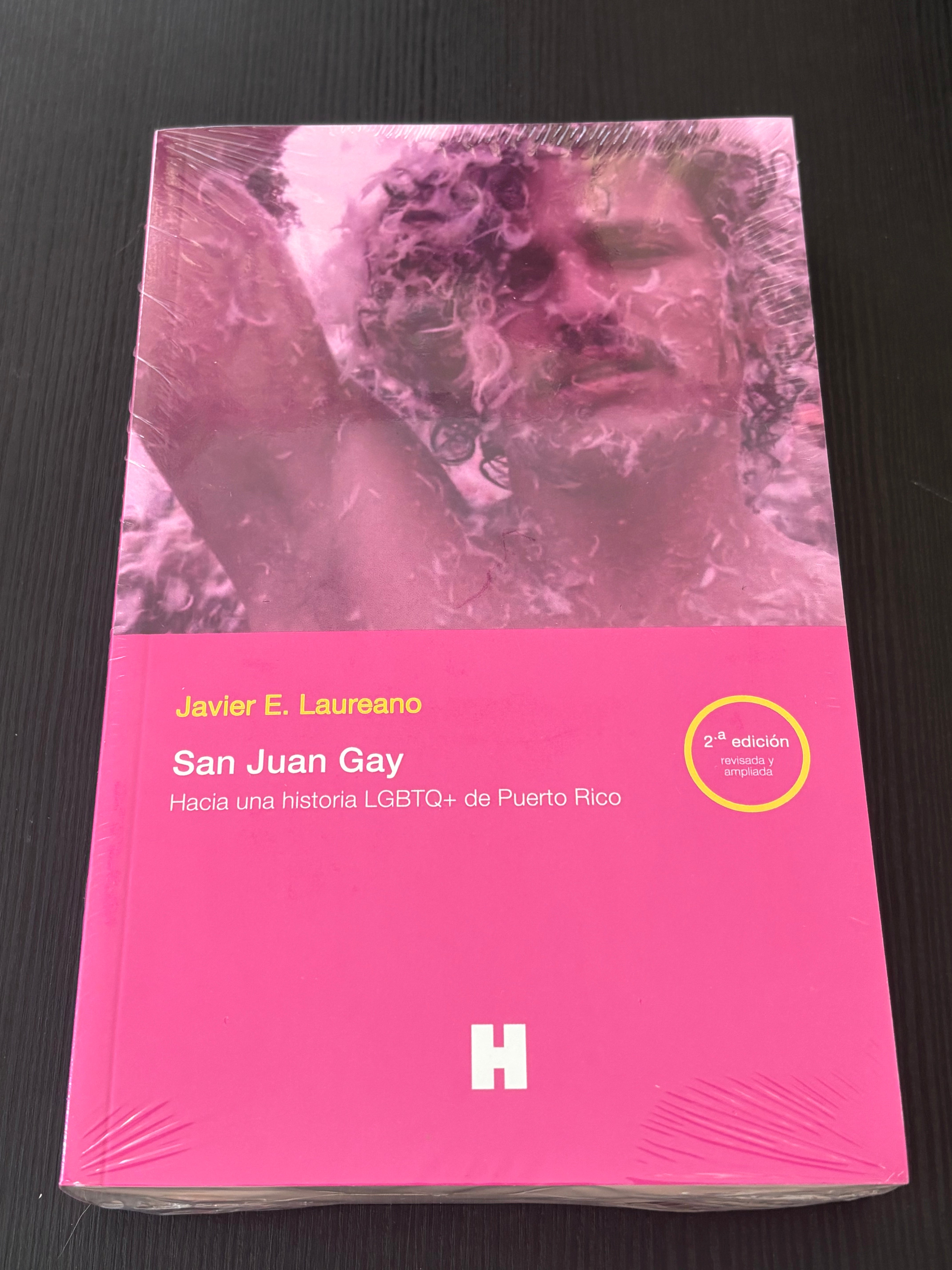 San Juan Gay - Javier E. Laureano
