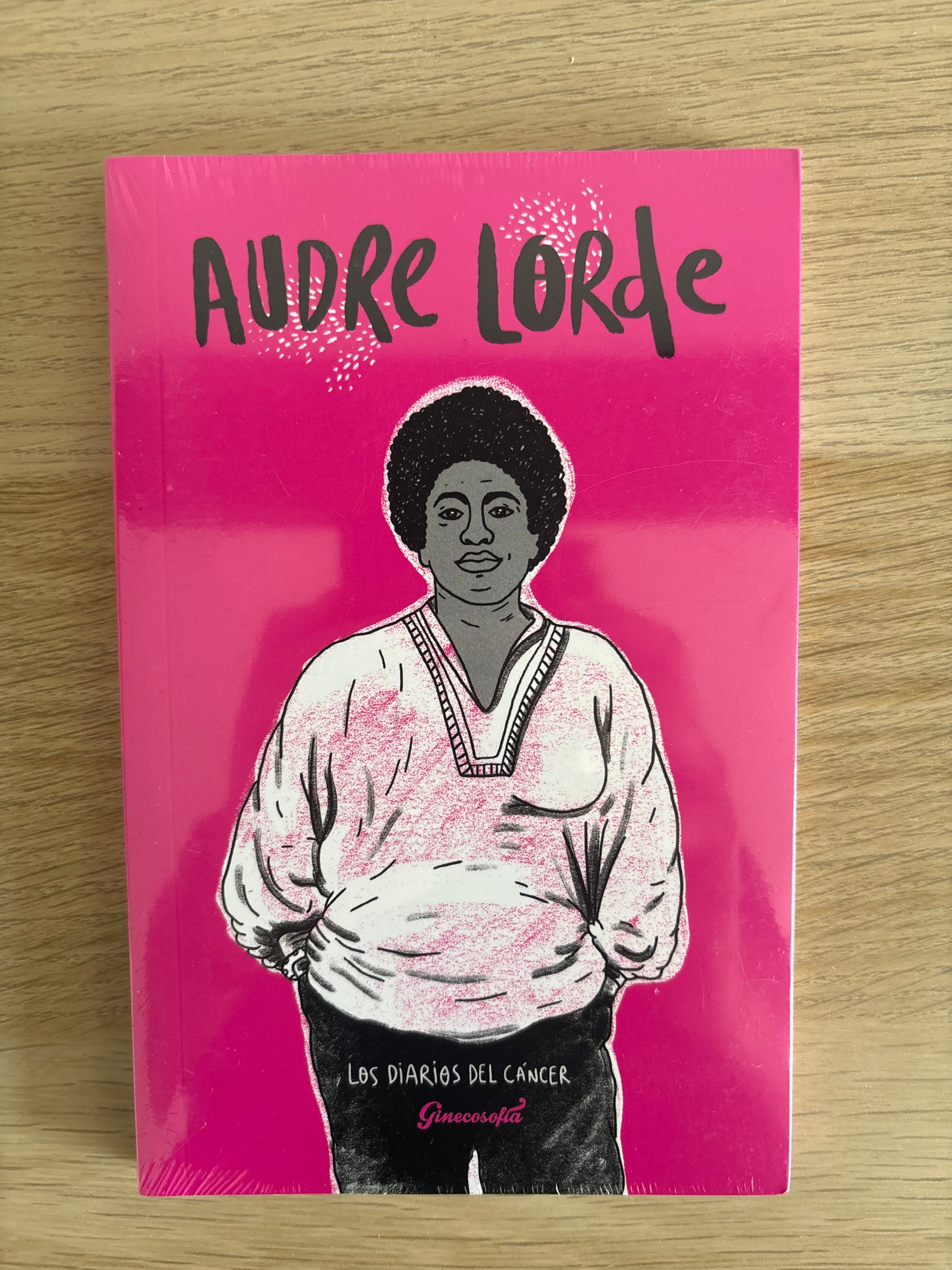 Los diarios del cáncer - Audre Lorde