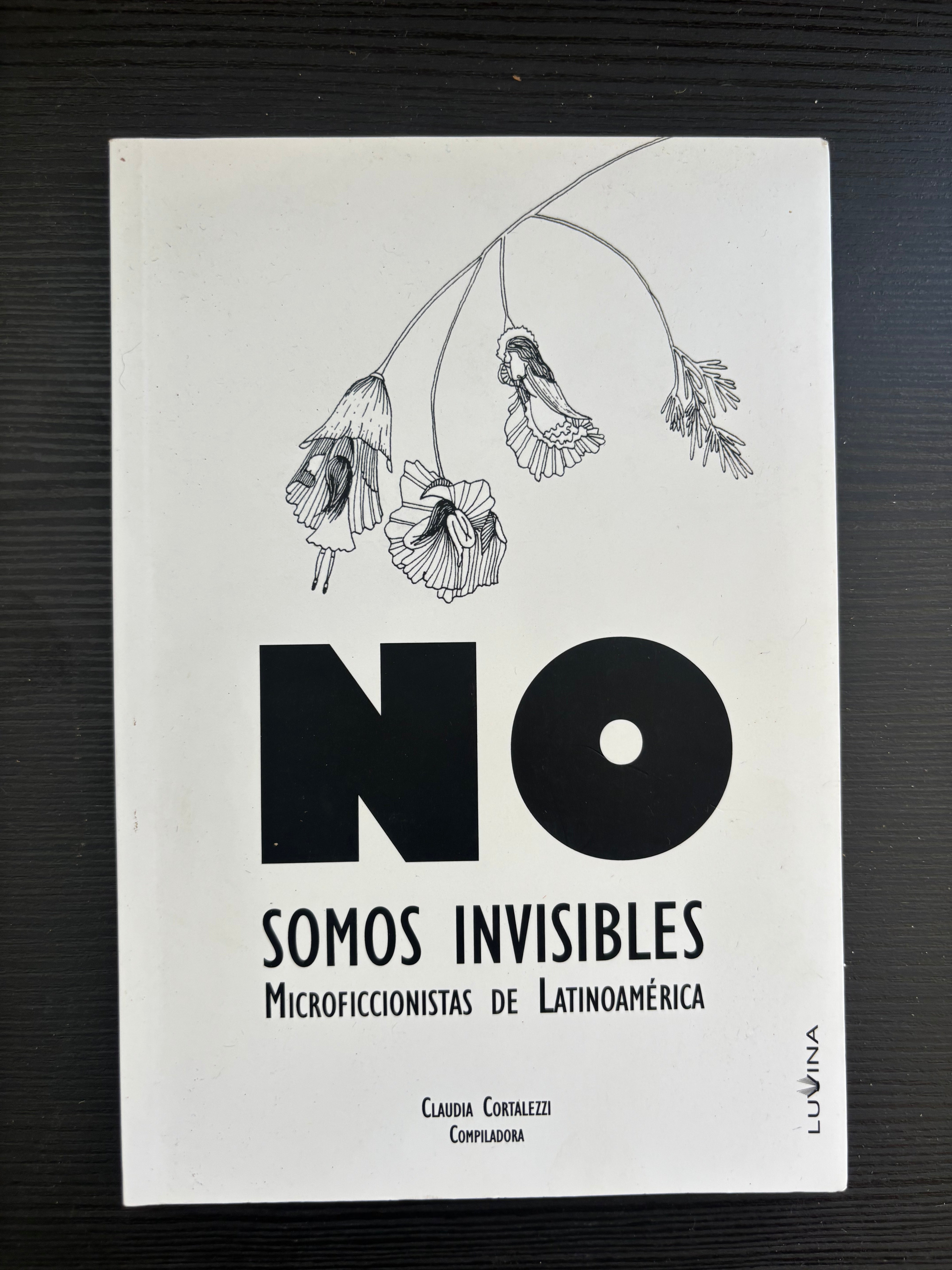 No somos invisibles - Microficcionistas de Latinoamérica
