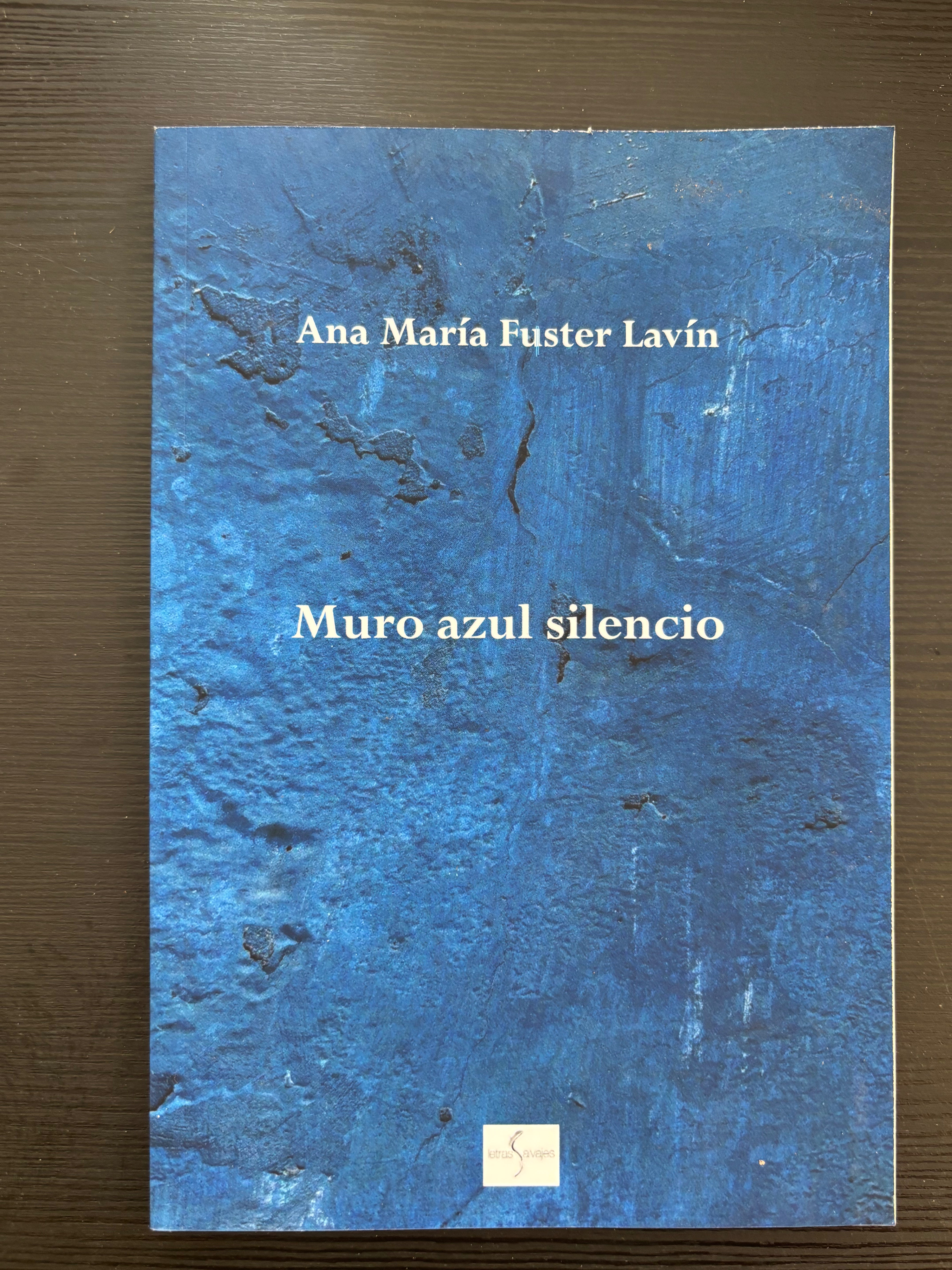 Muro azul silencio - Ana María Fuster Lavín