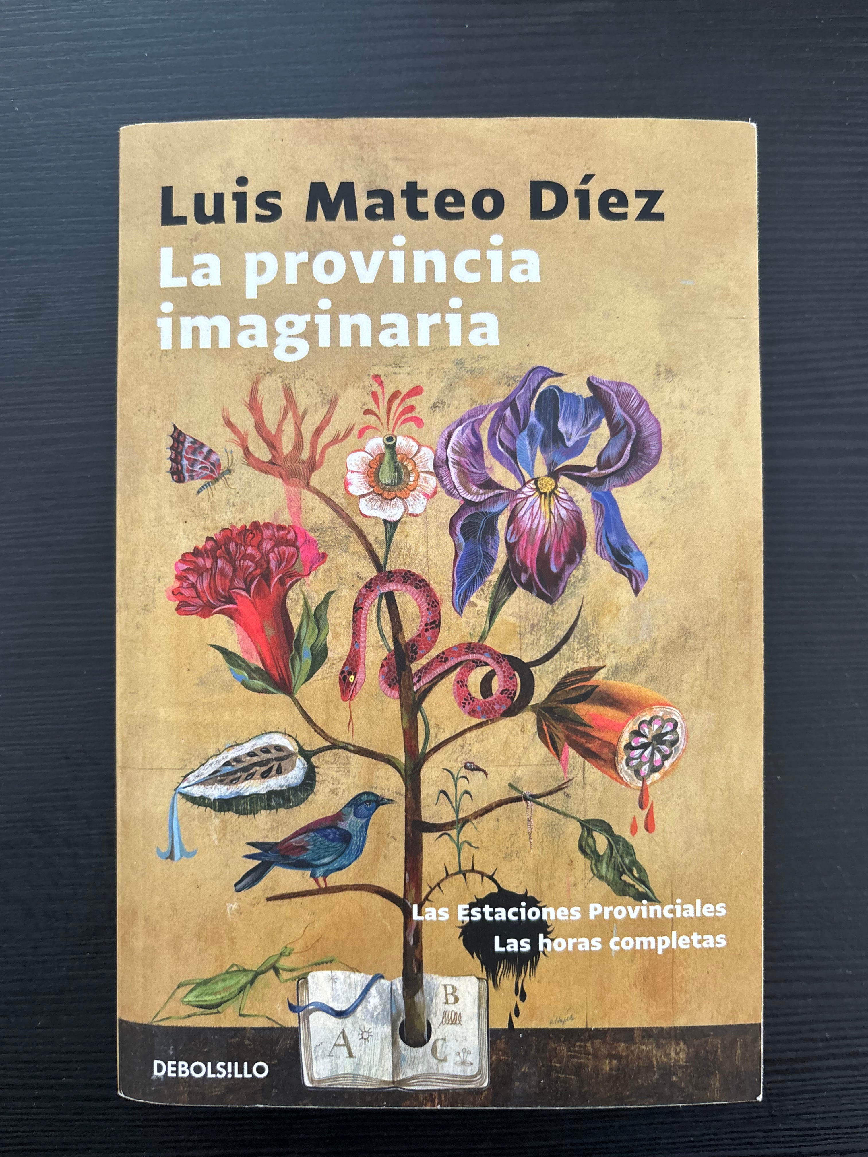 La provincia imaginaria - Luis Mateo Díez