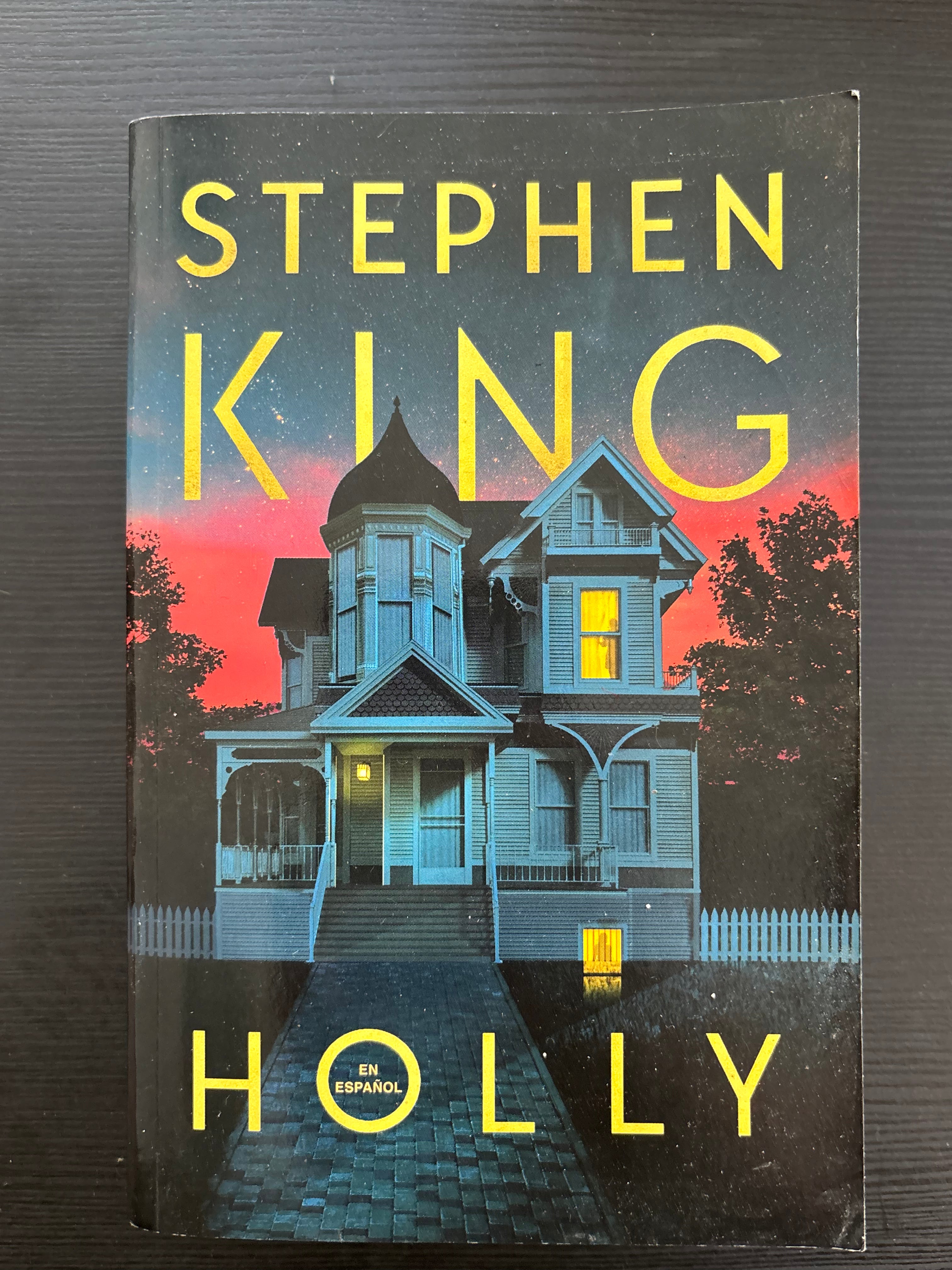 Holly - Stephen King