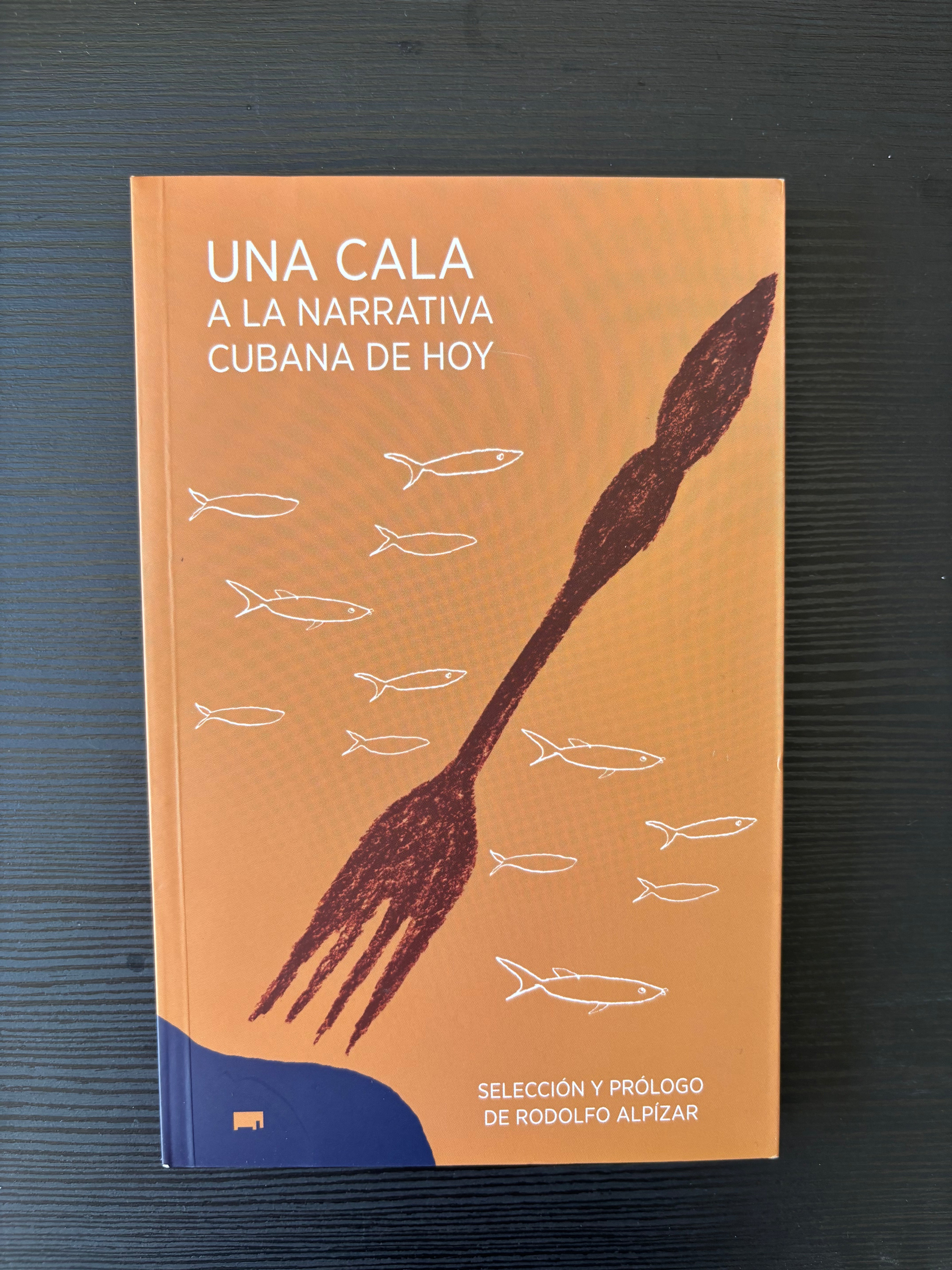 Una cala a la narrativa cubana de hoy