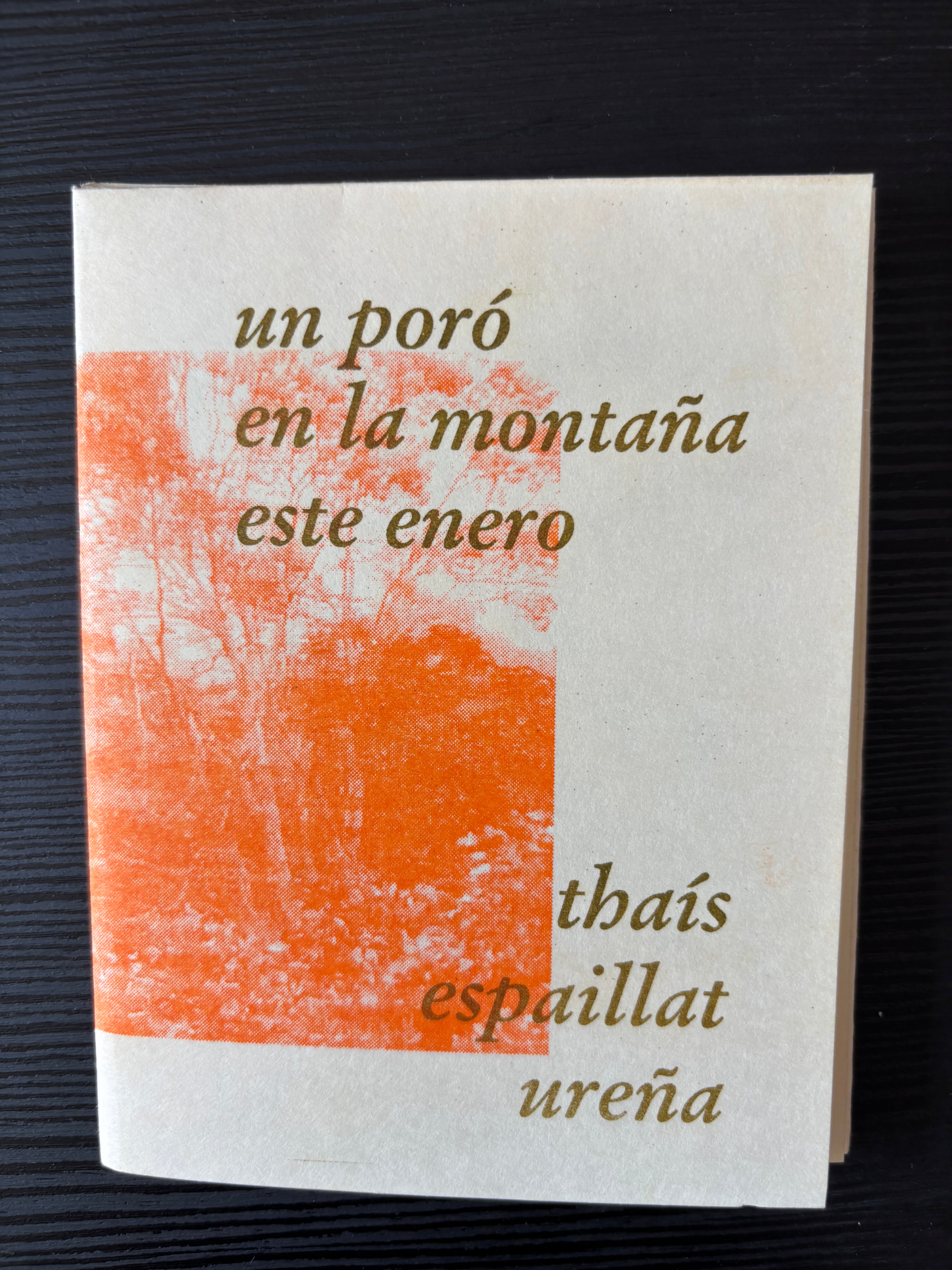 un poró en la montaña este enero - thaís espaillat ureña