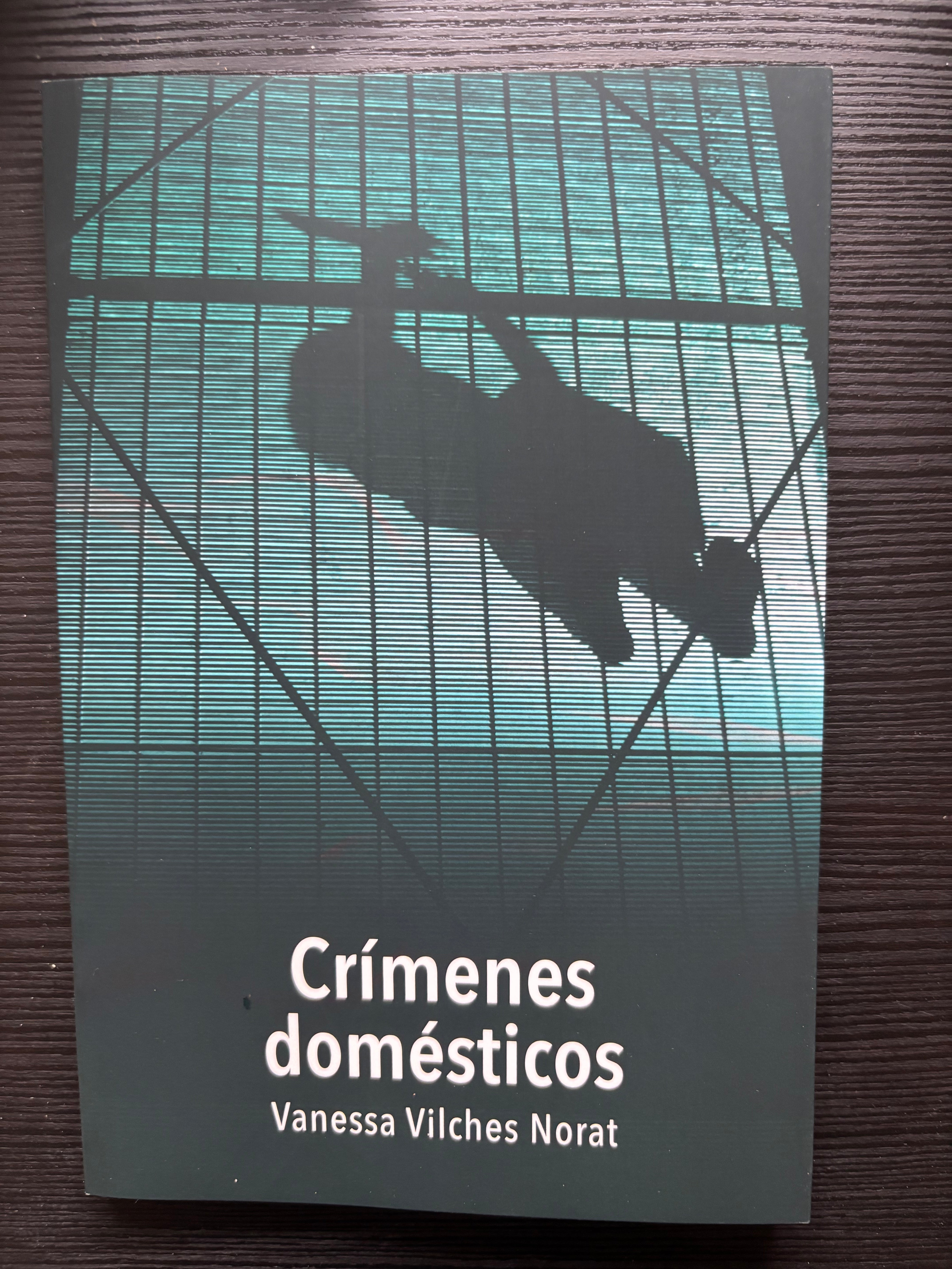 Crímenes domésticos - Vanessa Vilches Norat