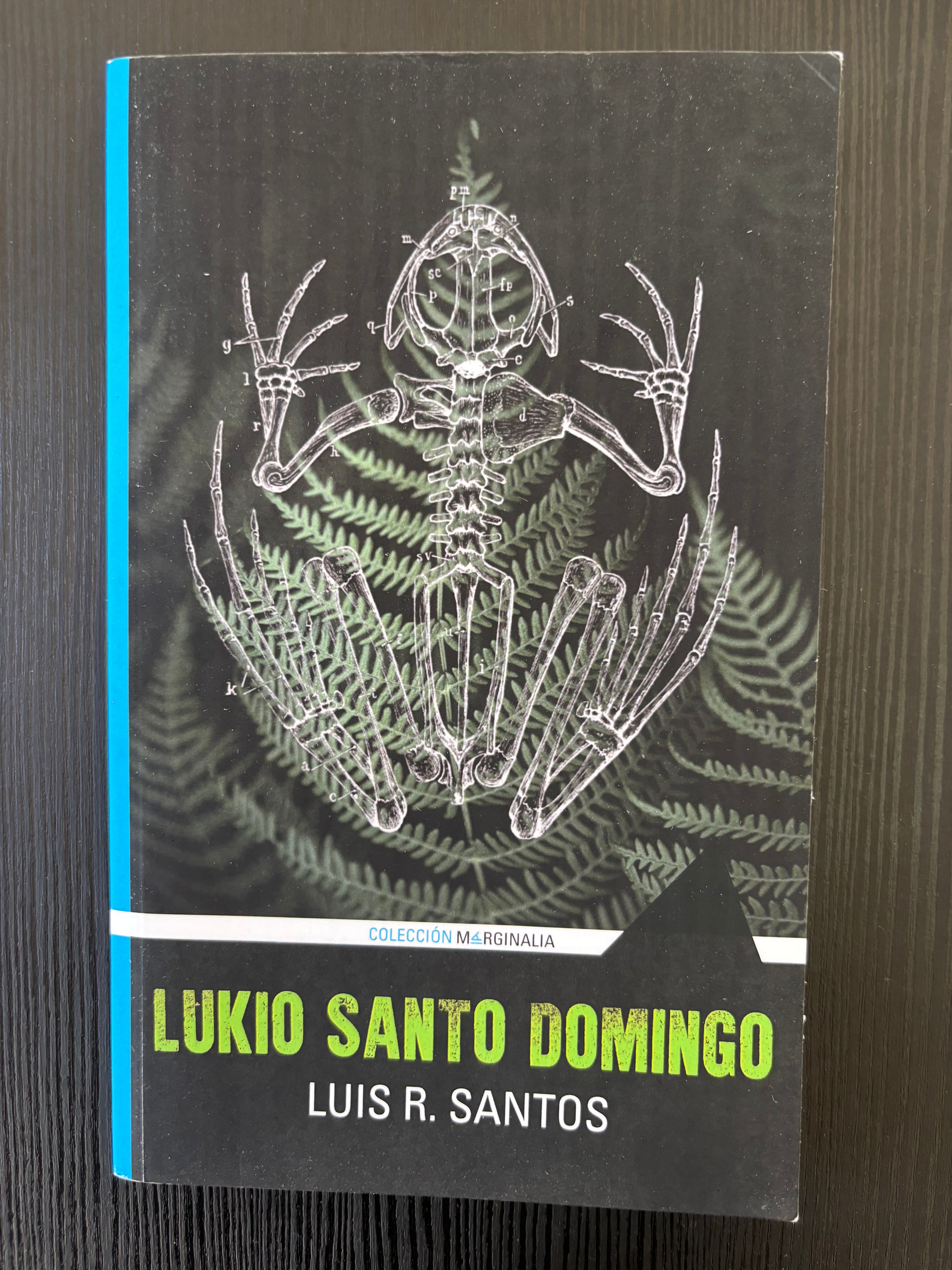Lukio Santo Domingo - Luis R. Santos