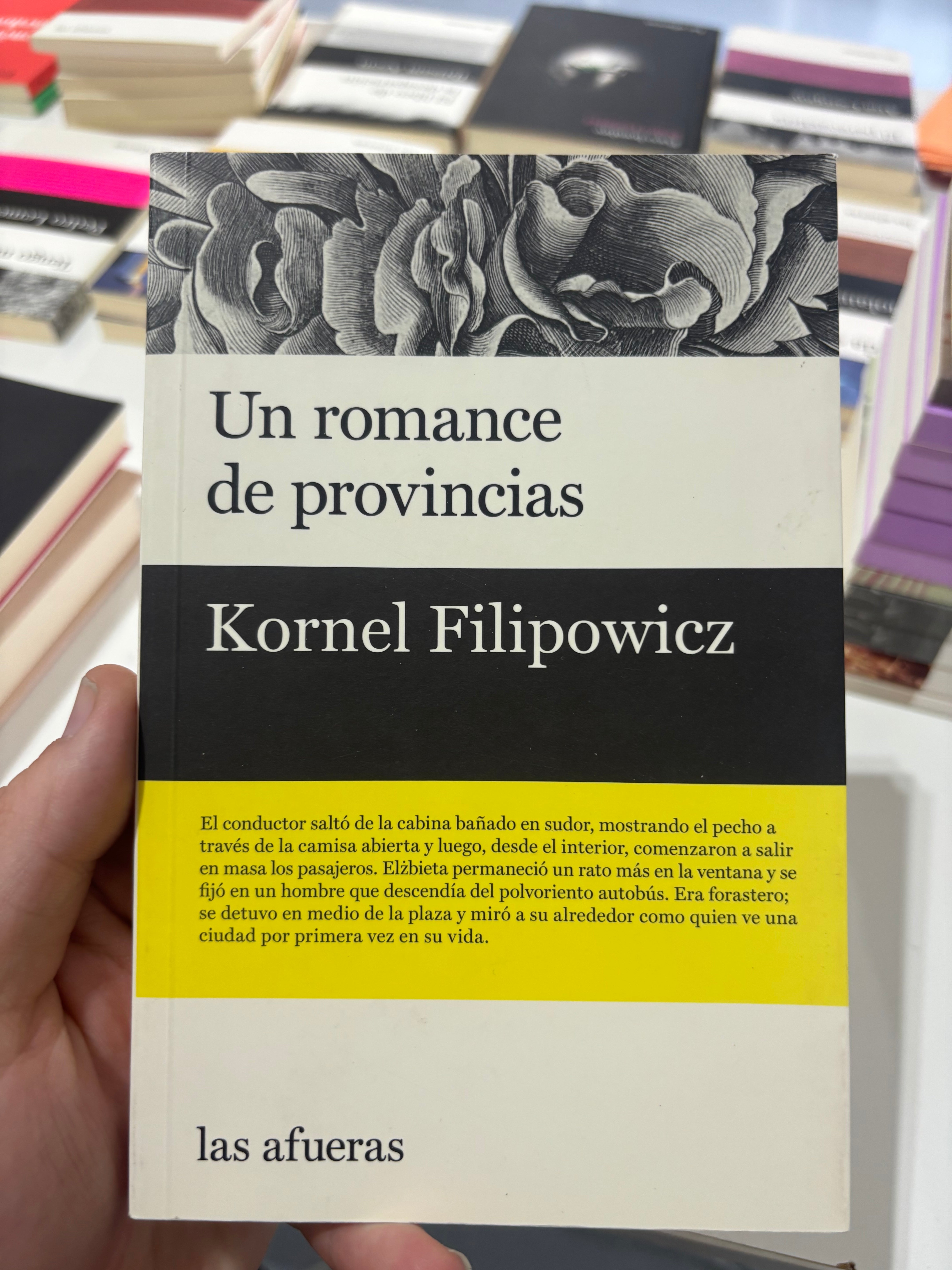 Un romance de provincias - Kornel Filipowicz