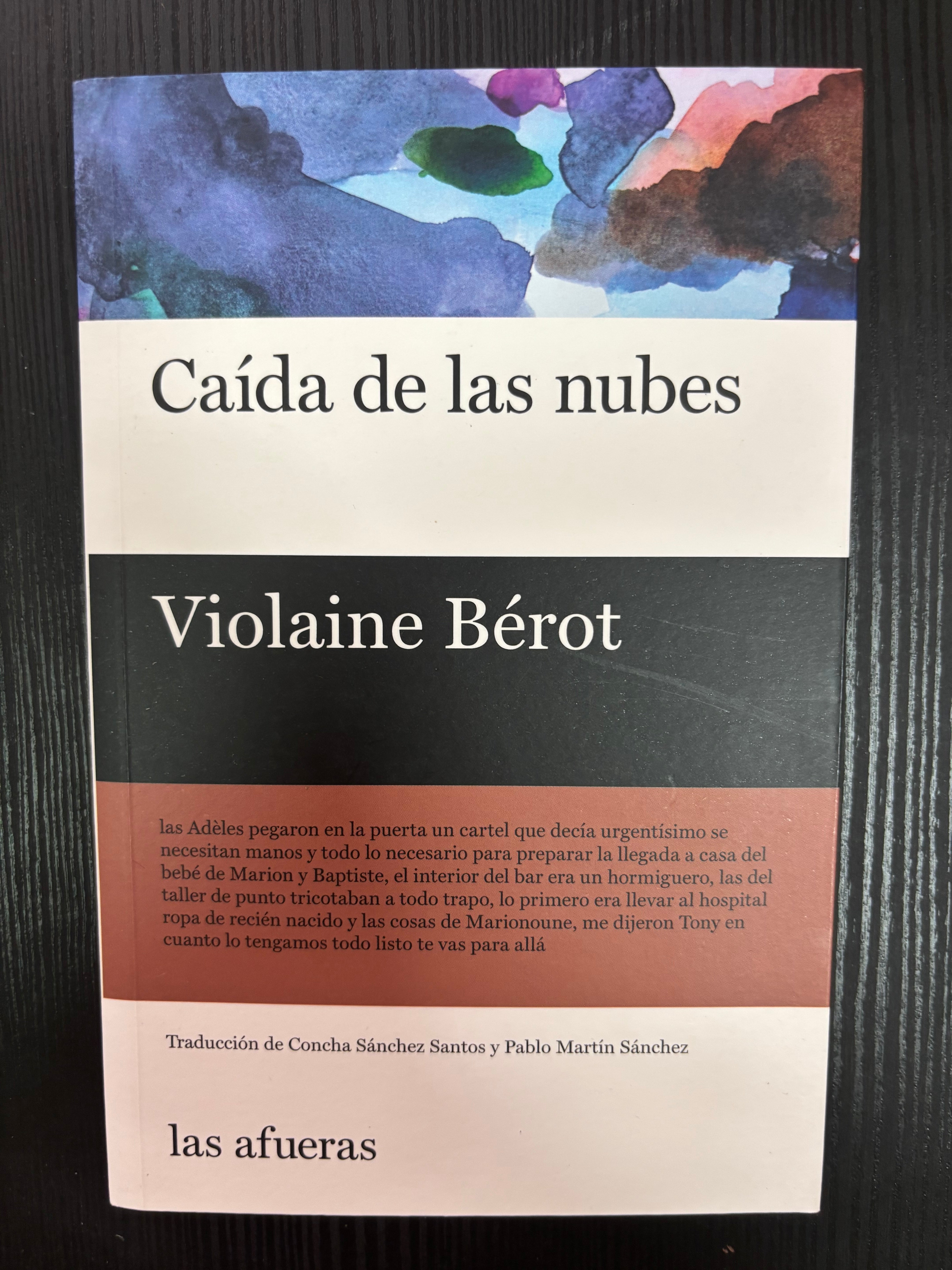 Caída de las nubes - Violaine Bérot