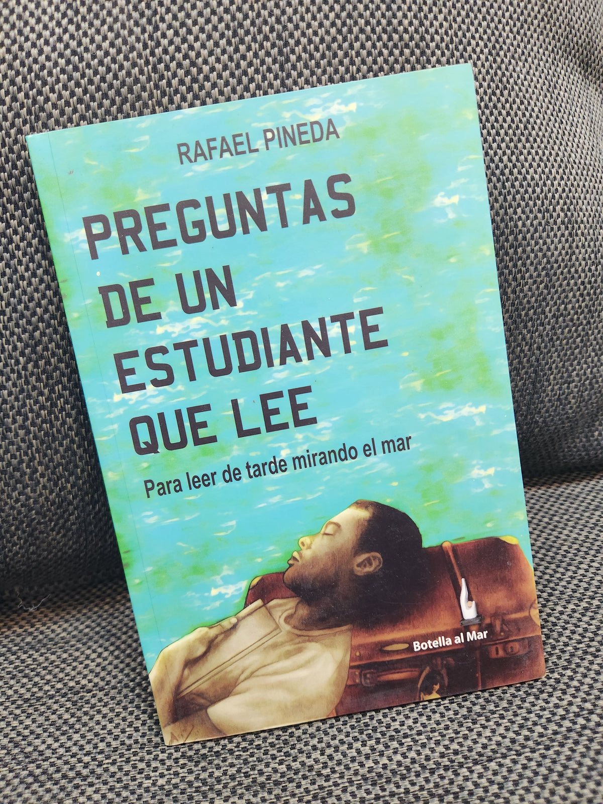 Preguntas de un estudiante que lee: Para leer de tarde mirando el mar - Rafael Pineda