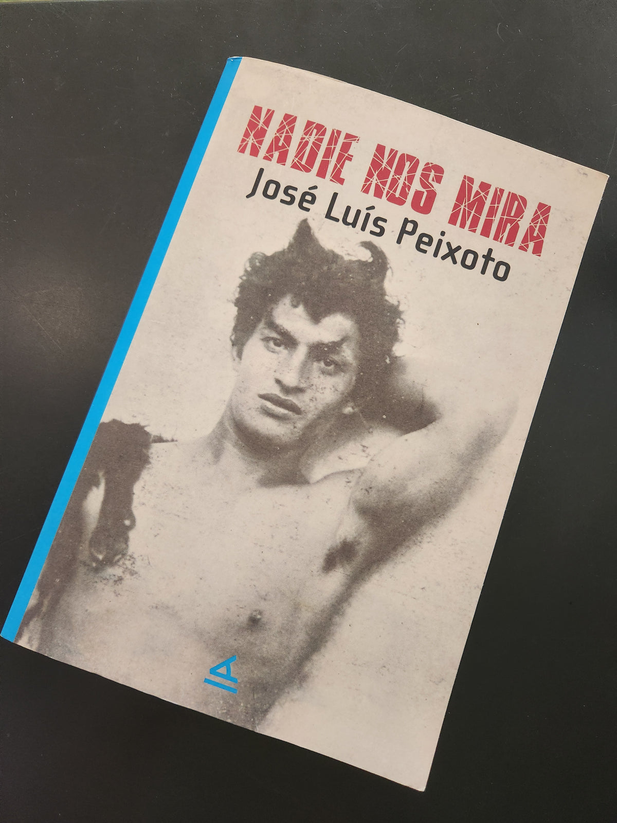 Nadie nos mira - José Luís Peixoto
