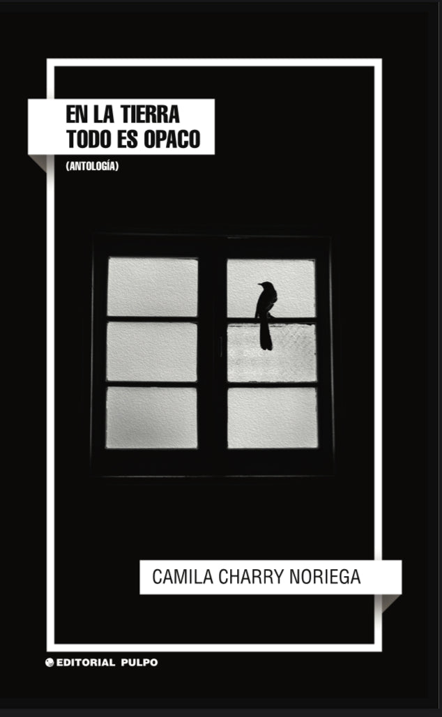 En la tierra todo es opaco - Camila Charry Noriega